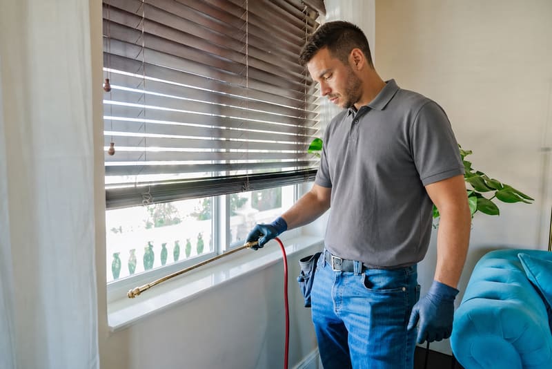 Técnico inspeccionando y tratando el perímetro de una habitación